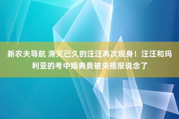 新农夫导航 澌灭已久的汪汪再次现身！汪汪和玛利亚的考中婚典竟被央视报说念了