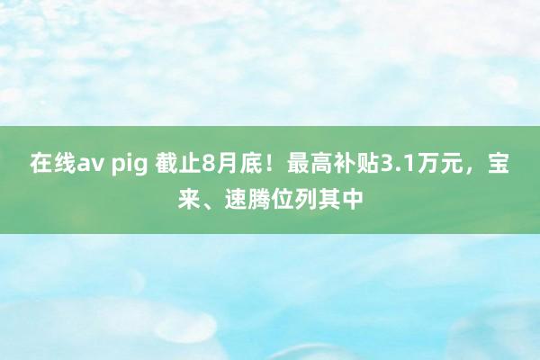 在线av pig 截止8月底！最高补贴3.1万元，宝来、速腾位列其中