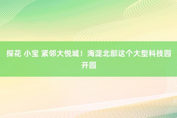 探花 小宝 紧邻大悦城！海淀北部这个大型科技园开园