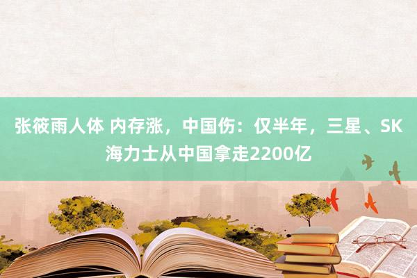 张筱雨人体 内存涨，中国伤：仅半年，三星、SK海力士从中国拿走2200亿