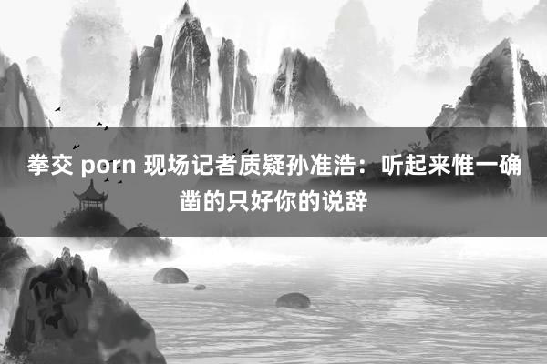 拳交 porn 现场记者质疑孙准浩：听起来惟一确凿的只好你的说辞