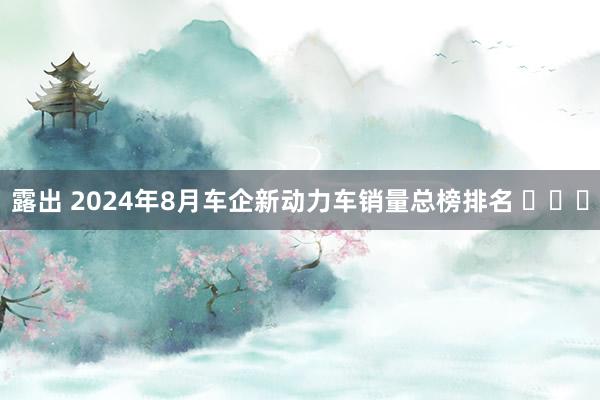 露出 2024年8月车企新动力车销量总榜排名 ​​​