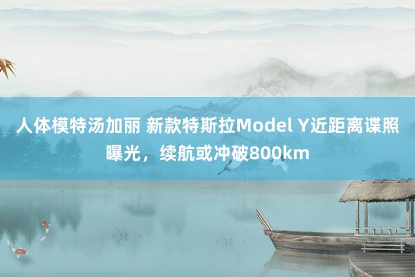 人体模特汤加丽 新款特斯拉Model Y近距离谍照曝光，续航或冲破800km