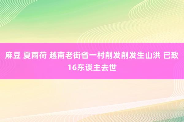 麻豆 夏雨荷 越南老街省一村削发削发生山洪 已致16东谈主去世