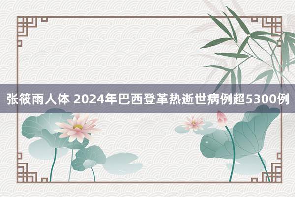 张筱雨人体 2024年巴西登革热逝世病例超5300例