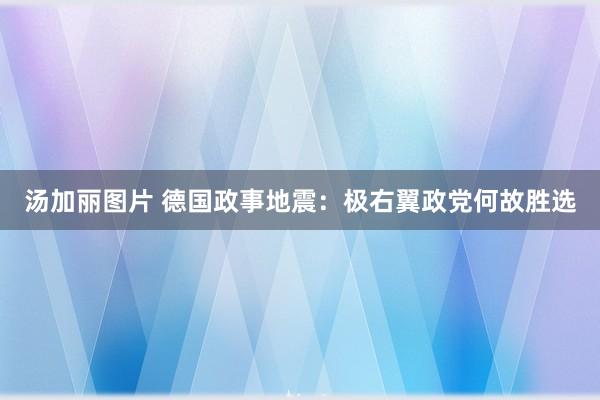 汤加丽图片 德国政事地震：极右翼政党何故胜选