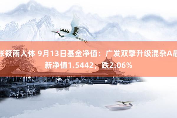 张筱雨人体 9月13日基金净值：广发双擎升级混杂A最新净值1.5442，跌2.06%