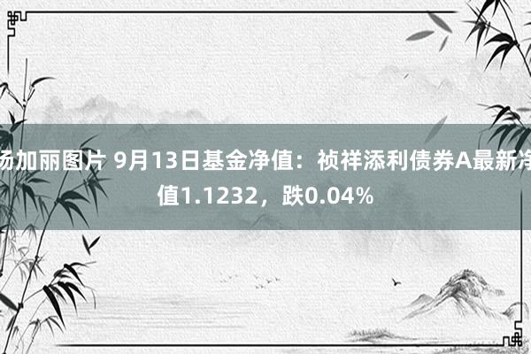 汤加丽图片 9月13日基金净值：祯祥添利债券A最新净值1.1232，跌0.04%