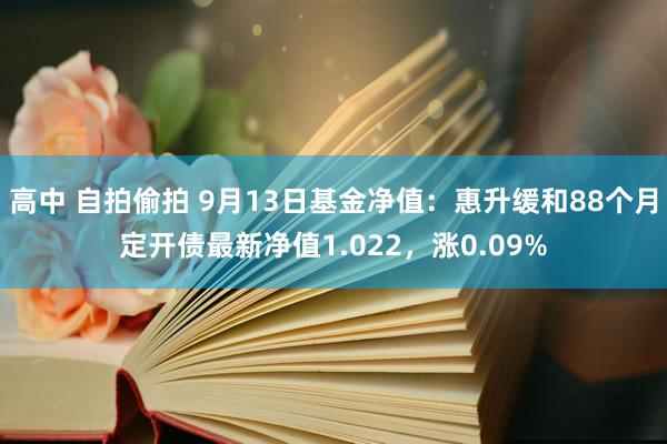 高中 自拍偷拍 9月13日基金净值：惠升缓和88个月定开债最新净值1.022，涨0.09%