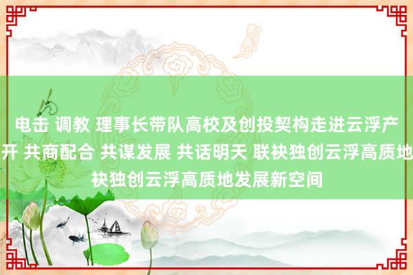 电击 调教 理事长带队高校及创投契构走进云浮产业对接会召开 共商配合 共谋发展 共话明天 联袂独创云浮高质地发展新空间