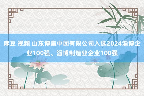 麻豆 视频 山东博集中团有限公司入选2024淄博企业100强、淄博制造业企业100强