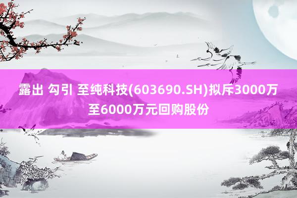 露出 勾引 至纯科技(603690.SH)拟斥3000万至6000万元回购股份