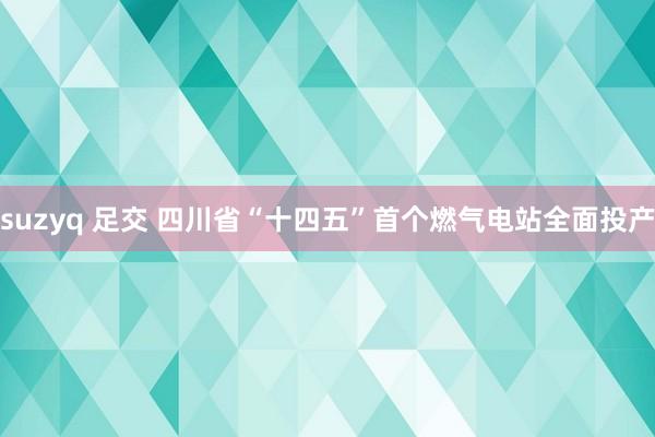 suzyq 足交 四川省“十四五”首个燃气电站全面投产