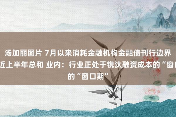 汤加丽图片 7月以来消耗金融机构金融债刊行边界已接近上半年总和 业内：行业正处于镌汰融资成本的“窗口期”