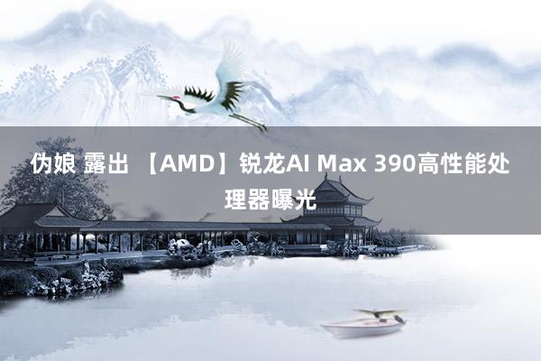 伪娘 露出 【AMD】锐龙AI Max 390高性能处理器曝光