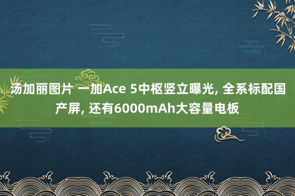 汤加丽图片 一加Ace 5中枢竖立曝光， 全系标配国产屏， 还有6000mAh大容量电板