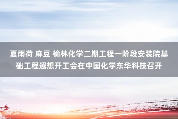 夏雨荷 麻豆 榆林化学二期工程一阶段安装院基础工程遐想开工会在中国化学东华科技召开