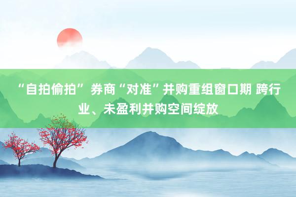 “自拍偷拍” 券商“对准”并购重组窗口期 跨行业、未盈利并购空间绽放