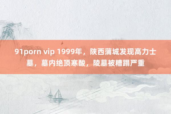 91porn vip 1999年，陕西蒲城发现高力士墓，墓内绝顶寒酸，陵墓被糟蹋严重