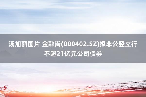 汤加丽图片 金融街(000402.SZ)拟非公竖立行不超21亿元公司债券