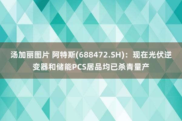 汤加丽图片 阿特斯(688472.SH)：现在光伏逆变器和储能PCS居品均已杀青量产