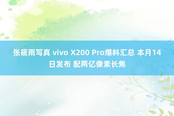 张筱雨写真 vivo X200 Pro爆料汇总 本月14日发布 配两亿像素长焦