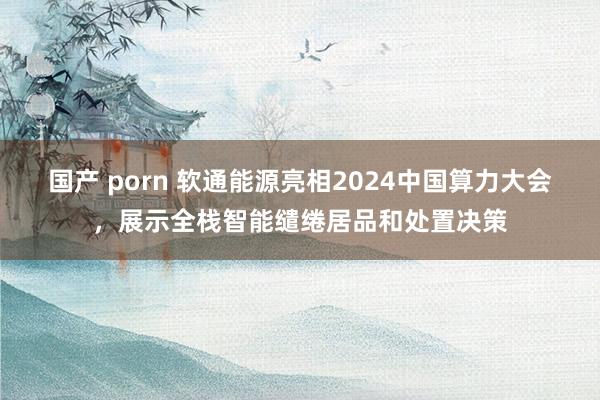 国产 porn 软通能源亮相2024中国算力大会，展示全栈智能缱绻居品和处置决策