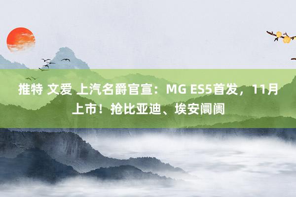 推特 文爱 上汽名爵官宣：MG ES5首发，11月上市！抢比亚迪、埃安阛阓