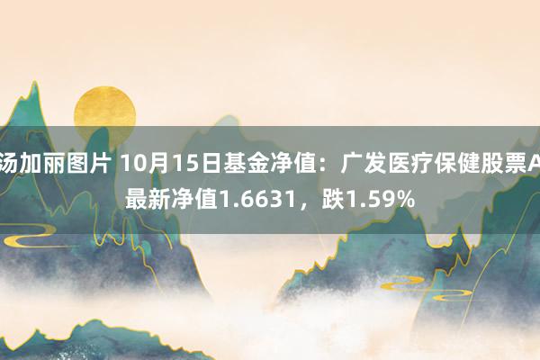 汤加丽图片 10月15日基金净值：广发医疗保健股票A最新净值1.6631，跌1.59%