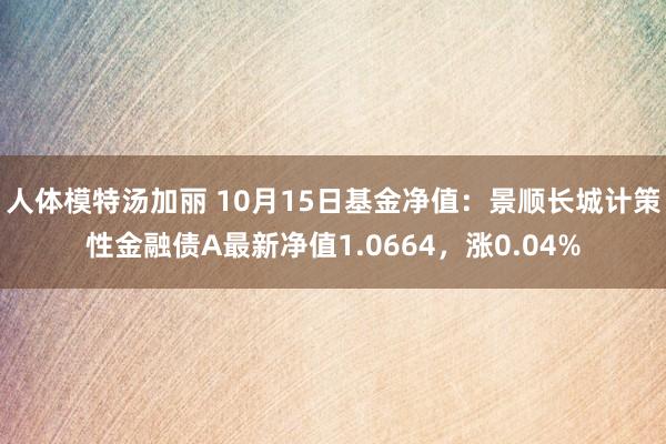 人体模特汤加丽 10月15日基金净值：景顺长城计策性金融债A最新净值1.0664，涨0.04%