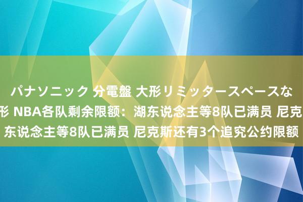 パナソニック 分電盤 大形リミッタースペースなし 露出・半埋込両用形 NBA各队剩余限额：湖东说念主等8队已满员 尼克斯还有3个追究公约限额