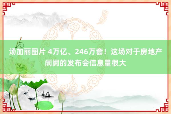 汤加丽图片 4万亿、246万套！这场对于房地产阛阓的发布会信息量很大