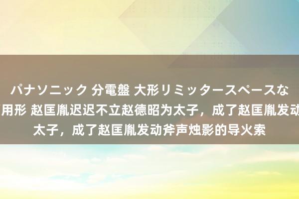 パナソニック 分電盤 大形リミッタースペースなし 露出・半埋込両用形 赵匡胤迟迟不立赵德昭为太子，成了赵匡胤发动斧声烛影的导火索