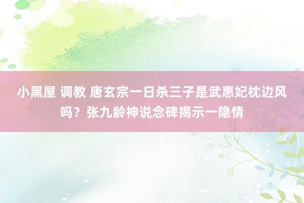 小黑屋 调教 唐玄宗一日杀三子是武惠妃枕边风吗？张九龄神说念碑揭示一隐情