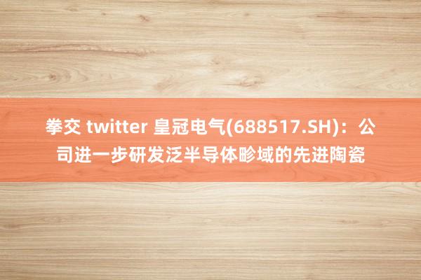 拳交 twitter 皇冠电气(688517.SH)：公司进一步研发泛半导体畛域的先进陶瓷