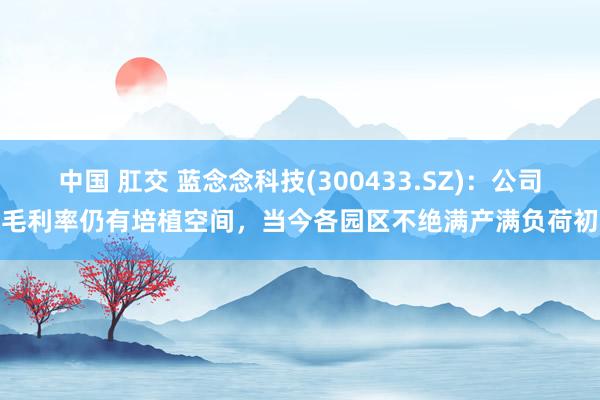 中国 肛交 蓝念念科技(300433.SZ)：公司的毛利率仍有培植空间，当今各园区不绝满产满负荷初始