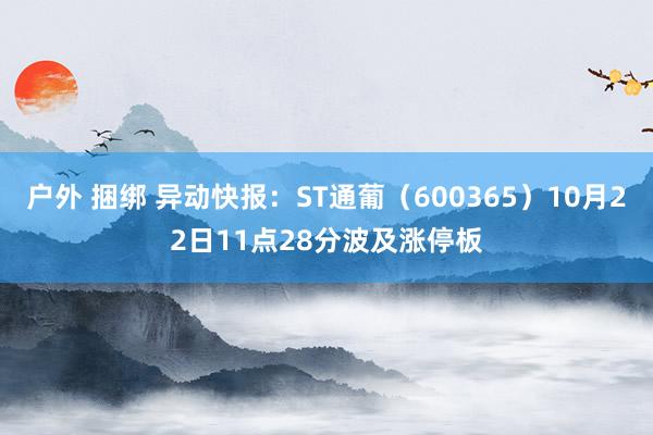 户外 捆绑 异动快报：ST通葡（600365）10月22日11点28分波及涨停板