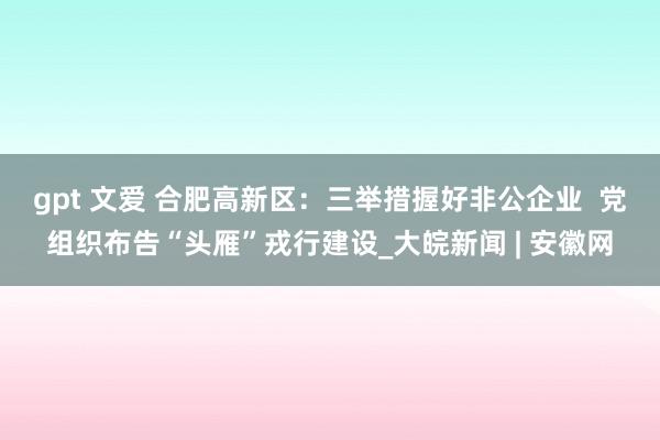 gpt 文爱 合肥高新区：三举措握好非公企业  党组织布告“头雁”戎行建设_大皖新闻 | 安徽网