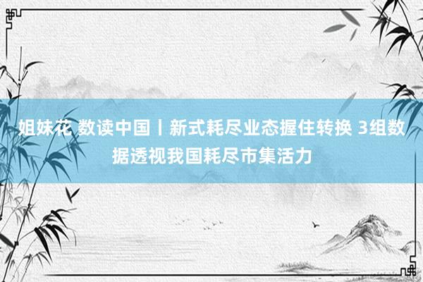 姐妹花 数读中国丨新式耗尽业态握住转换 3组数据透视我国耗尽市集活力