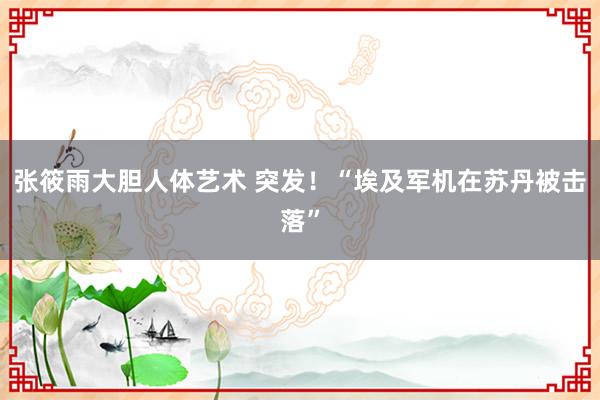 张筱雨大胆人体艺术 突发！“埃及军机在苏丹被击落”