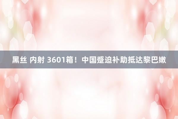 黑丝 内射 3601箱！中国蹙迫补助抵达黎巴嫩