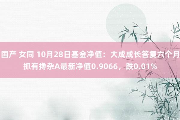 国产 女同 10月28日基金净值：大成成长答复六个月抓有搀杂A最新净值0.9066，跌0.01%