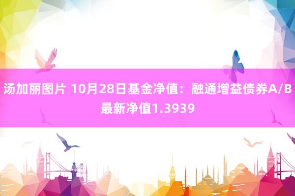 汤加丽图片 10月28日基金净值：融通增益债券A/B最新净值1.3939