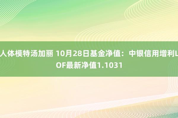 人体模特汤加丽 10月28日基金净值：中银信用增利LOF最新净值1.1031