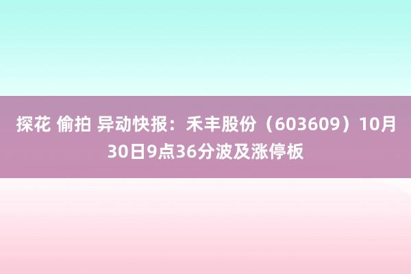 探花 偷拍 异动快报：禾丰股份（603609）10月30日9点36分波及涨停板