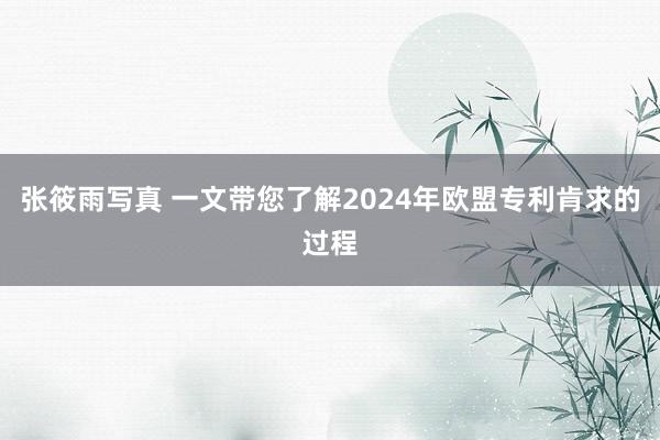 张筱雨写真 一文带您了解2024年欧盟专利肯求的过程