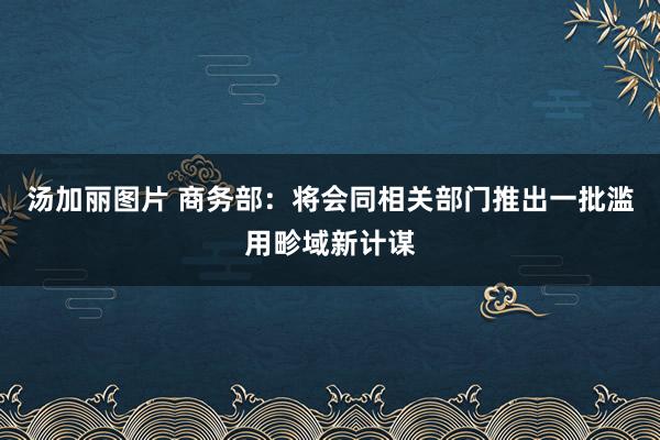 汤加丽图片 商务部：将会同相关部门推出一批滥用畛域新计谋