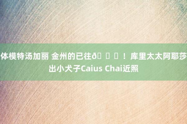 人体模特汤加丽 金州的已往😆！库里太太阿耶莎晒出小犬子Caius Chai近照