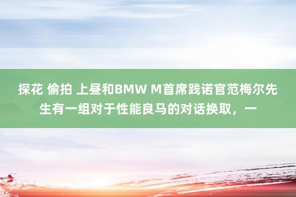 探花 偷拍 上昼和BMW M首席践诺官范梅尔先生有一组对于性能良马的对话换取，一