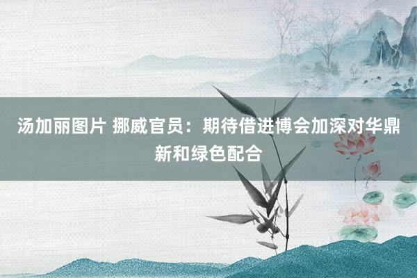 汤加丽图片 挪威官员：期待借进博会加深对华鼎新和绿色配合